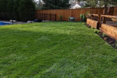 landscaping-service-img-02.1 landscaping-service-img-02.1