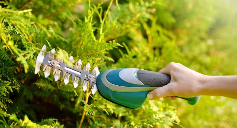 landscaping-service-img-03