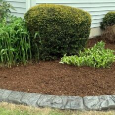 landscaping-service-img-03.1 landscaping-service-img-03.1