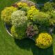 landscape article (1)