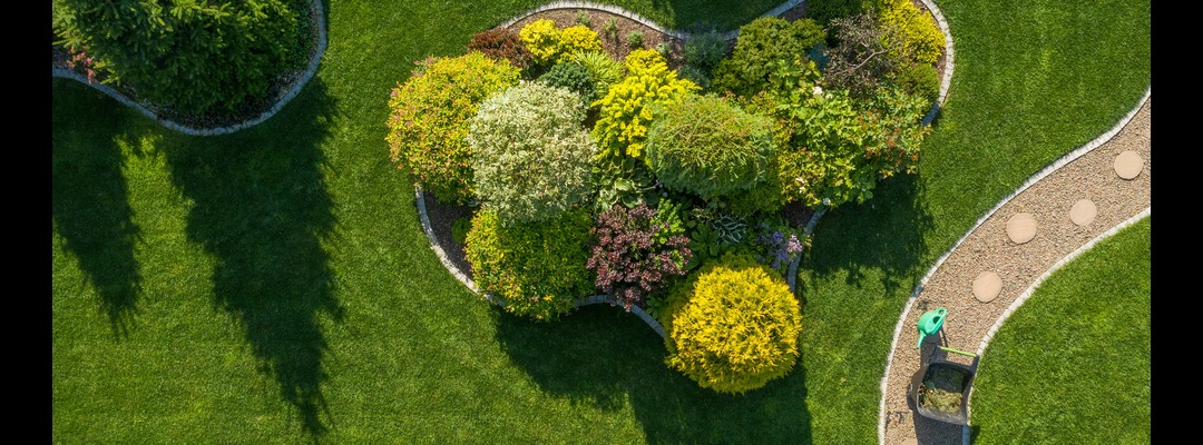 7 Landscaping Mistakes That Lower Property Value (and How to Avoid Them) - landscape article 1