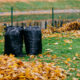 Photo of black trash bags stand in park, filled with autumn fallen leaves against fence background. Cleaning streets and garbage concept