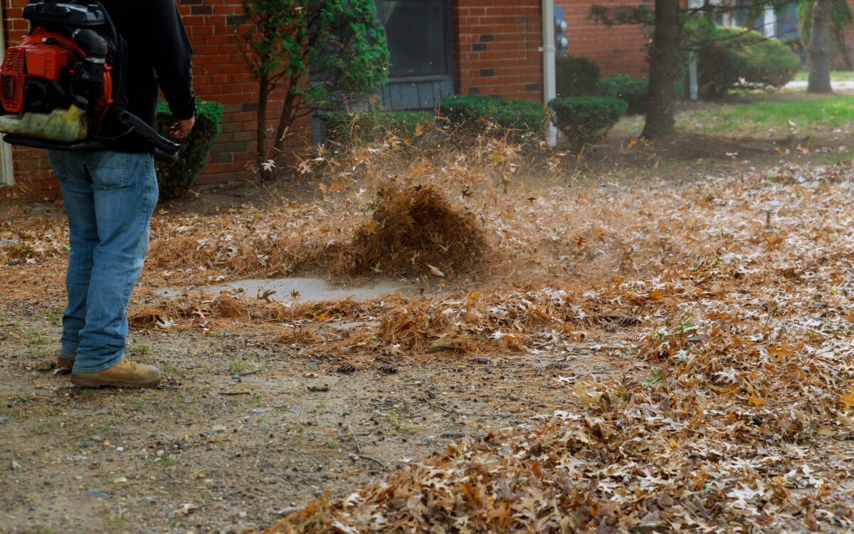 Seasonal Landscaping Projects Before Winter - man operating cleaning the sidewalk with a leaf bl 2025 03 27 04 50 58 utc