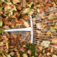 metal rake on a pile of autumn leaves in the garden.