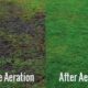aeration aeration