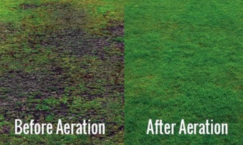 Aeration Tips for a Healthier Lawn This Fall - aeration